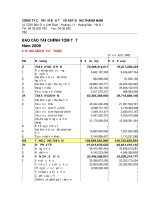 Báo cáo tài chính năm 2008 - Công ty Cổ phần Đầu tư và Xây dựng Thành Nam