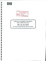 Báo cáo tài chính công ty mẹ năm 2010 (đã kiểm toán) - Công ty Cổ phần Tập đoàn Đức Long Gia Lai