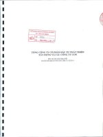 Báo cáo tài chính hợp nhất quý 4 năm 2011 - Tổng Công ty Cổ phần Đầu tư Phát triển Xây dựng