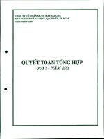 Báo cáo tài chính công ty mẹ quý 2 năm 2011 - Công ty Cổ phần Sản xuất Thương mại May Sài Gòn