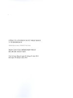 Báo cáo tài chính hợp nhất quý 2 năm 2013 (đã soát xét) - Công ty Cổ phần Xuất nhập khẩu Y tế Domesco