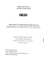 Bản cáo bạch - Tổng Công ty cổ phần Thiết bị điện Việt Nam