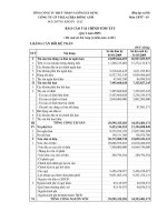 Báo cáo tài chính quý 1 năm 2009 - Công ty Cổ phần Viglacera Đông Anh