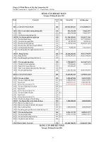 Báo cáo tài chính quý 2 năm 2011 - Công ty cổ phần Đầu tư và Xây lắp Constrexim số 8