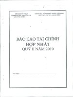 Báo cáo tài chính hợp nhất quý 2 năm 2010 - Công ty Cổ phần Tập đoàn Đức Long Gia Lai