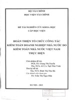 hoàn thiện tổ chức công tác kiểm toán doanh nghiệp nhà nước do kiểm toán nhà nước việt nam thực hiện 