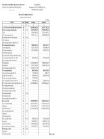 Báo cáo tài chính quý 4 năm 2008 - Tổng Công ty Phân bón và Hóa chất Dầu khí-CTCP