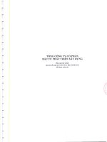 Báo cáo tài chính công ty mẹ quý 2 năm 2011 (đã soát xét) - Tổng Công ty Cổ phần Đầu tư Phát triển Xây dựng