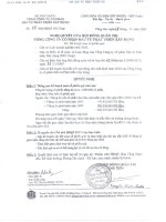 Nghị quyết Hội đồng Quản trị ngày 28-12-2009 - Tổng Công ty Cổ phần Đầu tư Phát triển Xây dựng