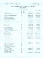 Báo cáo tài chính hợp nhất quý 1 năm 2015 - CTCP Đầu tư Cảng Cái Lân