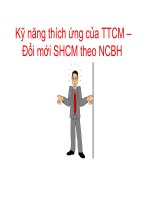 Kỹ năng thích ứng của TTCM – Đổi mới SHCM theo NCBH