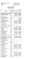 Báo cáo tài chính quý 4 năm 2009 - Công ty Cổ phần Xuất nhập khẩu Y tế Domesco