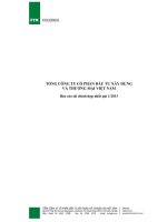 Báo cáo tài chính hợp nhất quý 1 năm 2013 - Tổng Công ty Cổ phần Đầu tư Xây dựng và Thương mại Việt Nam