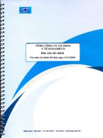Báo cáo tài chính công ty mẹ năm 2009 (đã kiểm toán) - Tổng Công ty cổ phần Y tế Danameco