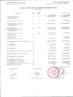 Báo cáo KQKD quý 2 năm 2010 - Công ty Cổ phần Tập đoàn Hà Đô