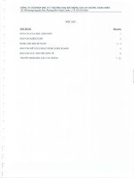 Báo cáo tài chính quý 2 năm 2013 (đã soát xét) - Công ty Cổ phần Đầu tư Thương mại Bất động sản An Dương Thảo Điền