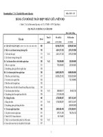 Báo cáo tài chính hợp nhất quý 4 năm 2010 - Công ty Cổ phần Điện nước Lắp máy Hải Phòng