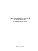 Báo cáo tài chính công ty mẹ quý 4 năm 2012 - Tổng Công ty Cổ phần Đầu tư Xây dựng và Thương mại Việt Nam