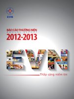 Báo cáo thường niên năm 2013 - Tập đoàn Điện lực Việt Nam - Công ty TNHH MTV
