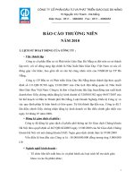 Báo cáo thường niên năm 2010 - Công ty Cổ phần Đầu tư và Phát triển Giáo dục Đà Nẵng