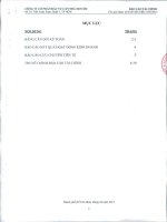 Báo cáo tài chính quý 1 năm 2012 - Công ty cổ phần Đầu tư Căn nhà Mơ ước