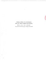 Báo cáo tài chính công ty mẹ quý 4 năm 2009 - Tổng Công ty Cổ phần Đầu tư Phát triển Xây dựng