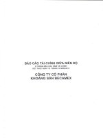 Báo cáo tài chính 2 tháng đầu năm 2013 - Công ty Cổ phần Khoáng sản Becamex