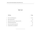 Báo cáo tài chính năm 2010 (đã kiểm toán) - Công ty Cổ phần Phát triển điện Nông thôn Trà Vinh