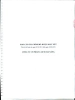 Báo cáo tài chính quý 2 năm 2011 (đã soát xét) - Công ty Cổ phần Cao su Đà Nẵng