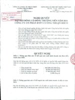 Nghị quyết Đại hội cổ đông thường niên năm 2011 - Công ty Cổ phần Đầu tư Phát triển Cường Thuận IDICO