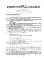 Báo cáo thường niên năm 2011 - Công ty Cổ phần Du lịch Đắk Lắk