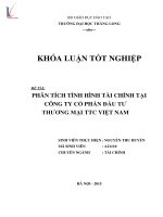 Luận văn phân tích tình hình tài chính tại công ty cổ phần đầu tư thương mại TTC việt nam 