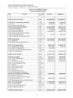 Báo cáo tài chính quý 3 năm 2011 - Công ty cổ phần Đầu tư và Xây lắp Constrexim số 8