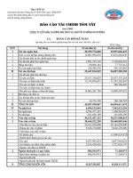 Báo cáo tài chính quý 1 năm 2009 - Công ty Cổ phần Thương mại Dịch vụ Vận tải Xi măng Hải Phòng