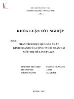 Luận văn phân tích hiệu quả sản xuất kinh doanh của công ty cổ phần đại siêu thị mê linh plaza