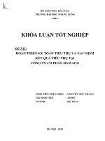 Luận văn hoàn thiện kế toán tiêu thụ thành phẩm và xác định kết quả tiêu thụ tại công ty cổ phần hawaco 