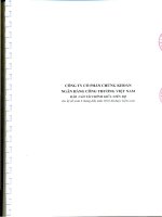 Báo cáo tài chính hợp nhất quý 2 năm 2010 - Công ty cổ phần Chứng khoán Ngân hàng Công thương Việt Nam
