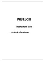 Báo cáo tài chính năm 2007 (đã kiểm toán) - Công ty Cổ phần Dịch vụ và Xây dựng Địa ốc Đất Xanh