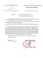 Báo cáo tài chính năm 2015 (đã kiểm toán) - Công ty Cổ phần Diêm Thống Nhất