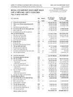 Báo cáo tài chính hợp nhất quý 1 năm 2010 - Công ty Cổ phần Tập đoàn Đức Long Gia Lai