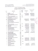 Báo cáo tài chính công ty mẹ quý 2 năm 2012 - Công ty Cổ phần Bibica