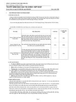 Báo cáo tài chính quý 2 năm 2009 - Công ty cổ phần Kỹ thuật điện Toàn Cầu