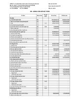 Báo cáo tài chính quý 4 năm 2011 - Công ty cổ phần Đầu tư-Sản xuất và Thương mại Việt Nam