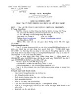 Báo cáo thường niên năm 2008 - Công ty Cổ phần Thương mại Dịch vụ Vận tải Xi măng Hải Phòng