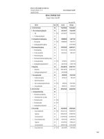 Báo cáo tài chính quý 4 năm 2009 - Công ty Cổ phần Công nghiệp Cao su Miền Nam