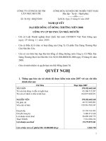 Nghị quyết đại hội cổ đông ngày 25-1-2008-2008 - Công ty cổ phần Đầu tư Căn nhà Mơ ước