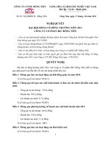 Nghị quyết đại hội cổ đông ngày 17-04-2011 - Công ty Cổ phần DIC - Đồng Tiến