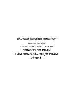 Báo cáo tài chính năm 2010 (đã kiểm toán) - Công ty Cổ phần Lâm Nông sản Thực phẩm Yên Bái