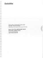 Báo cáo tài chính hợp nhất năm 2012 (đã kiểm toán) - Tổng Công ty Phân bón và Hóa chất Dầu khí-CTCP