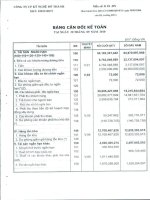 Báo cáo tài chính quý 3 năm 2010 - Công ty Cổ phần Kỹ nghệ Đô Thành